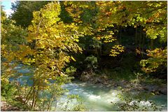 Herbst am Grimmingbach