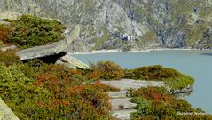 Herbst am Grimselsee.