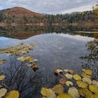 Herbst am großem Montiggler See 01