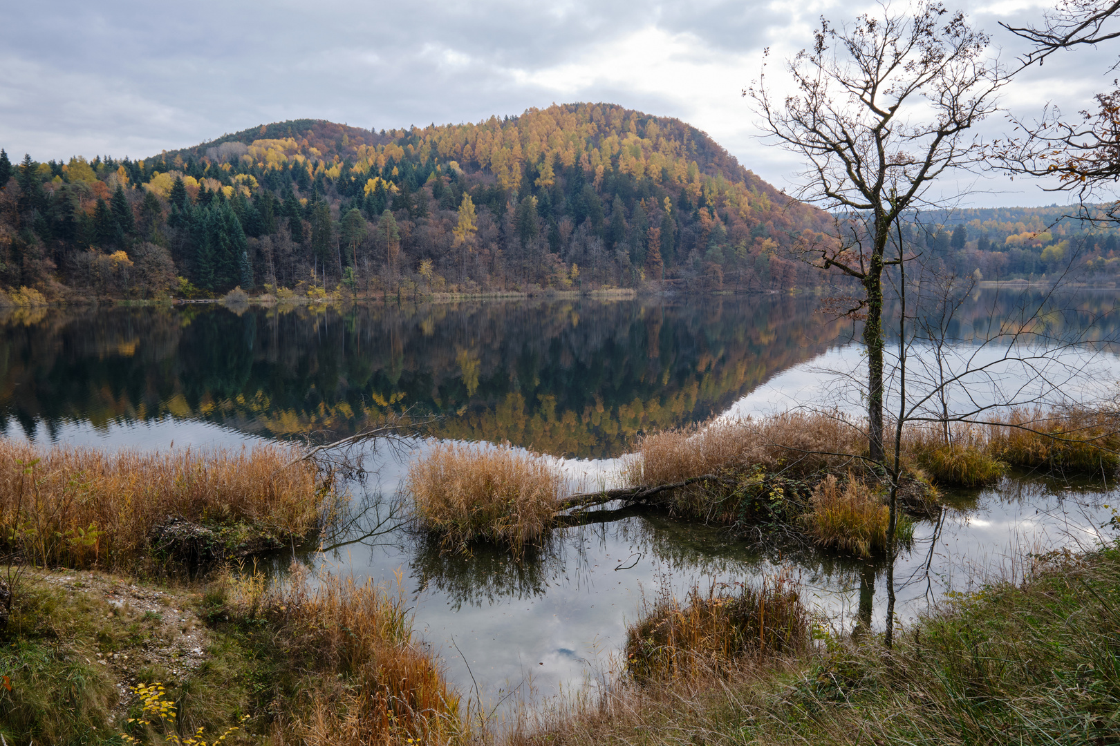 Herbst am großem Montiggler See 03