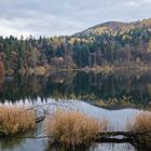 Herbst am großem Montiggler See 04