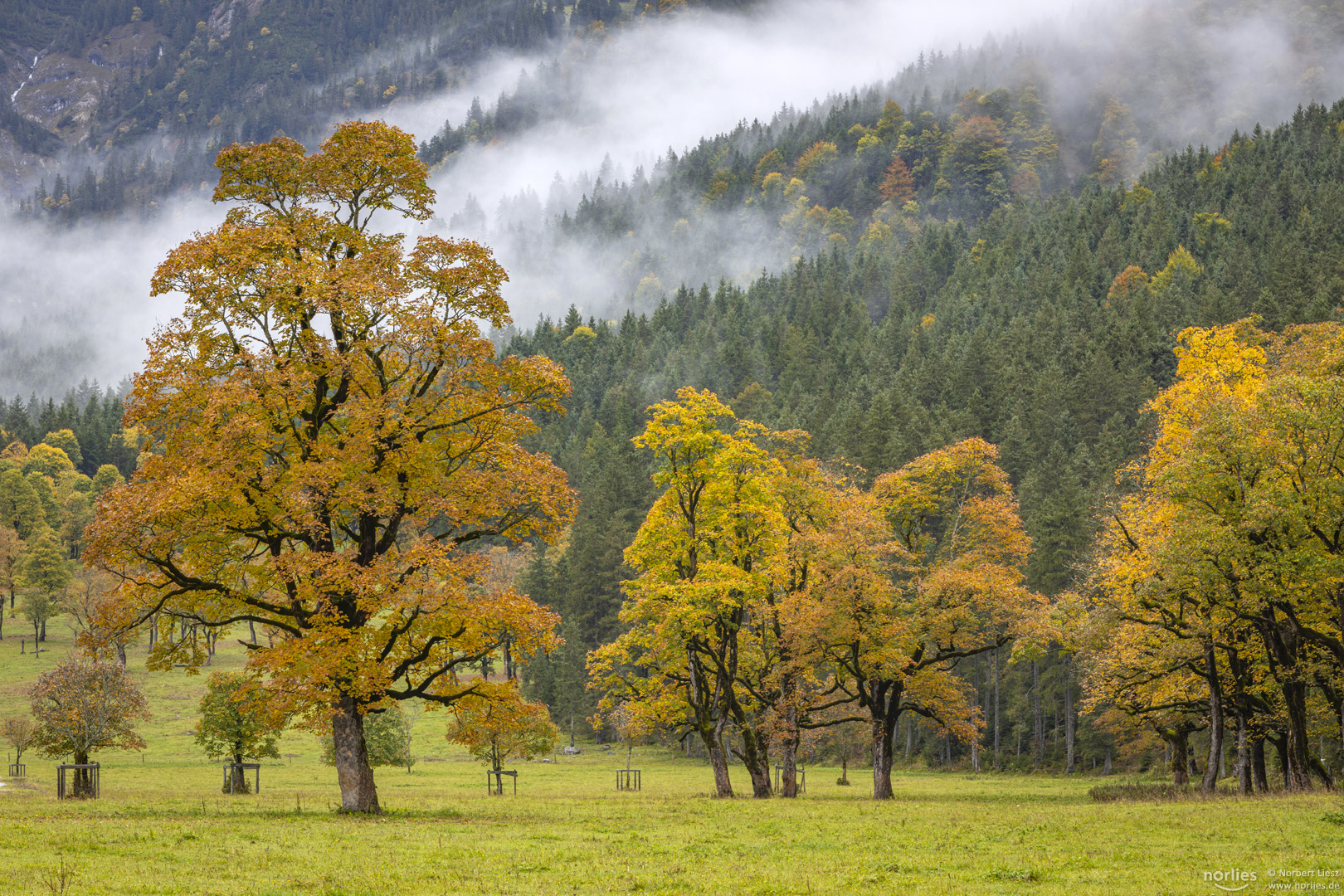 Herbst am Großen Ahornboden