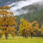 Herbst am Großen Ahornboden