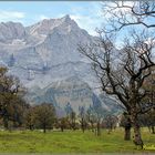 Herbst am Großen Ahornboden