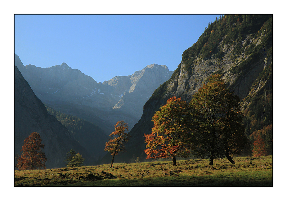 Herbst am großen Ahornboden