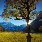 Herbst am Großen Ahornboden mit Spritzkarspitze und Grubenkarspitze