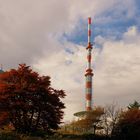 Herbst am Großen Inselsberg