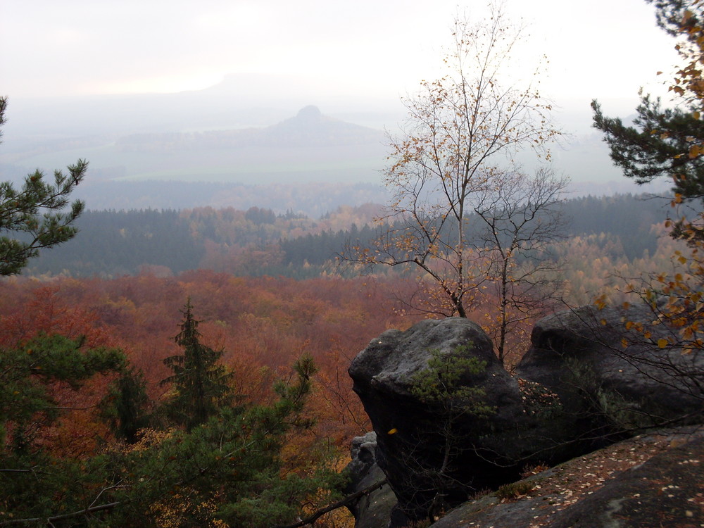 Herbst am Großen Winterberg - Sächsische Schweiz