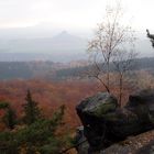 Herbst am Großen Winterberg - Sächsische Schweiz