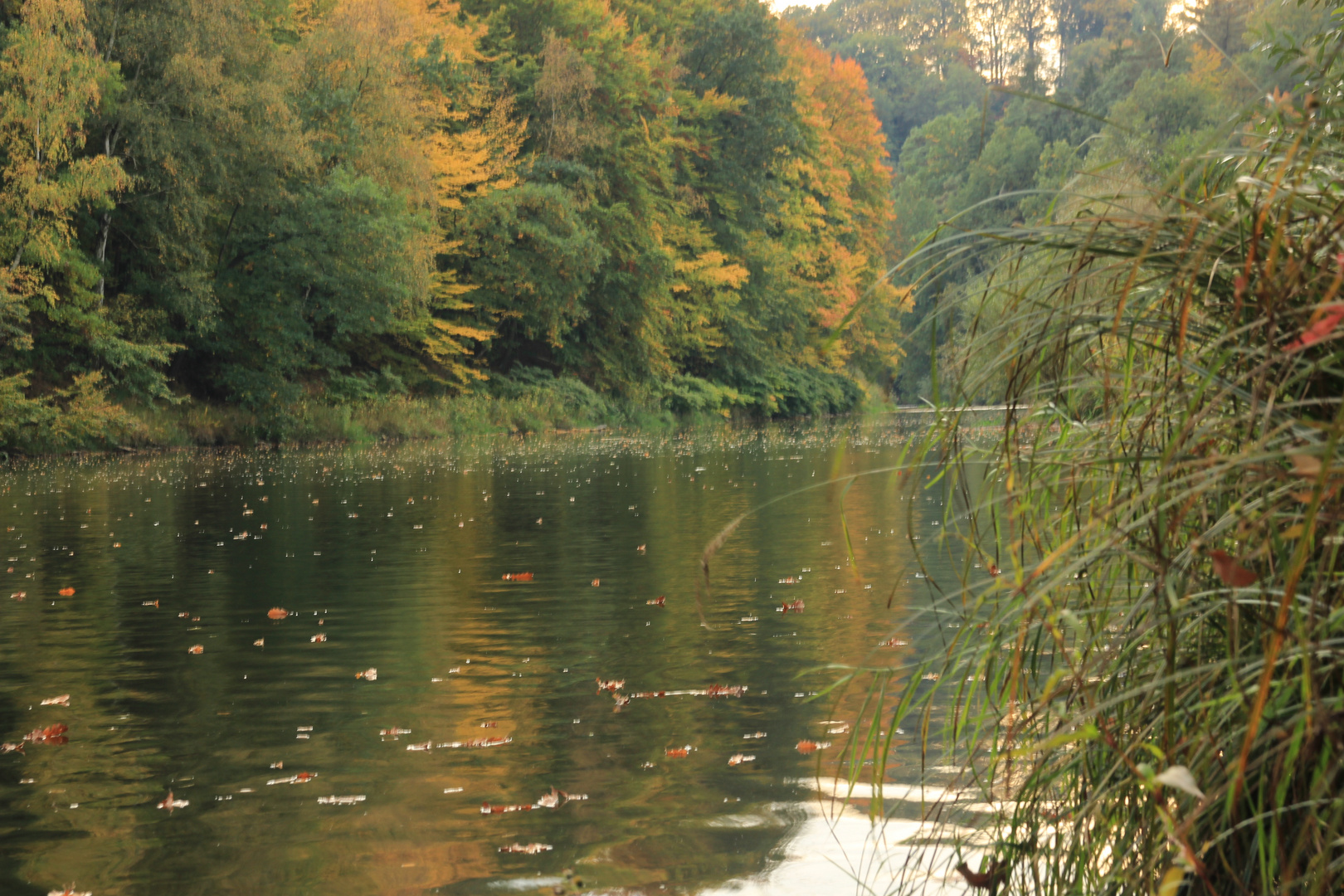 Herbst am Grubenwehr