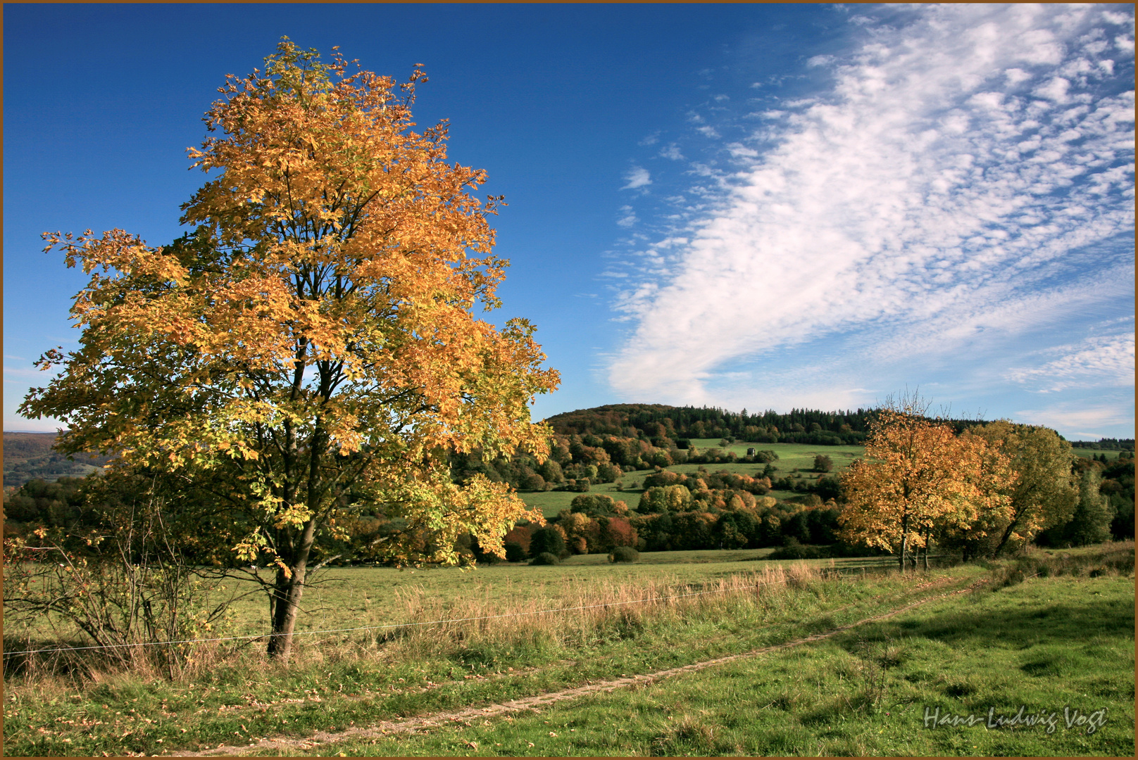 Herbst am "Grünen Band"