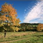 Herbst am "Grünen Band"