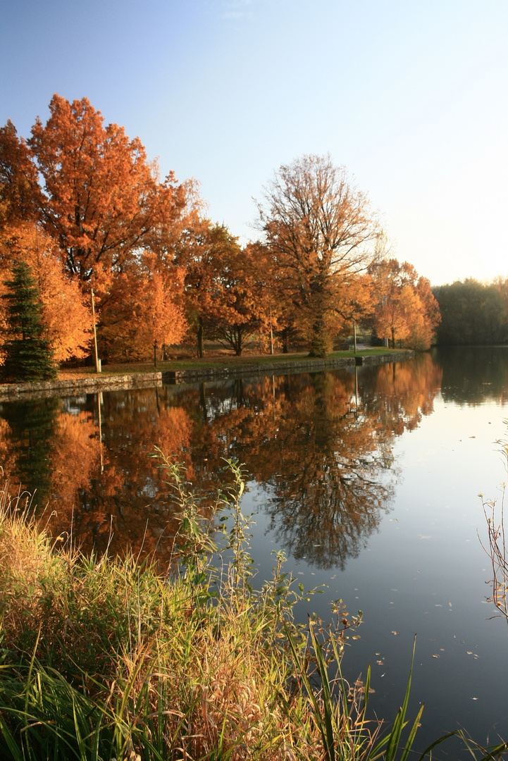 Herbst am Grützteich