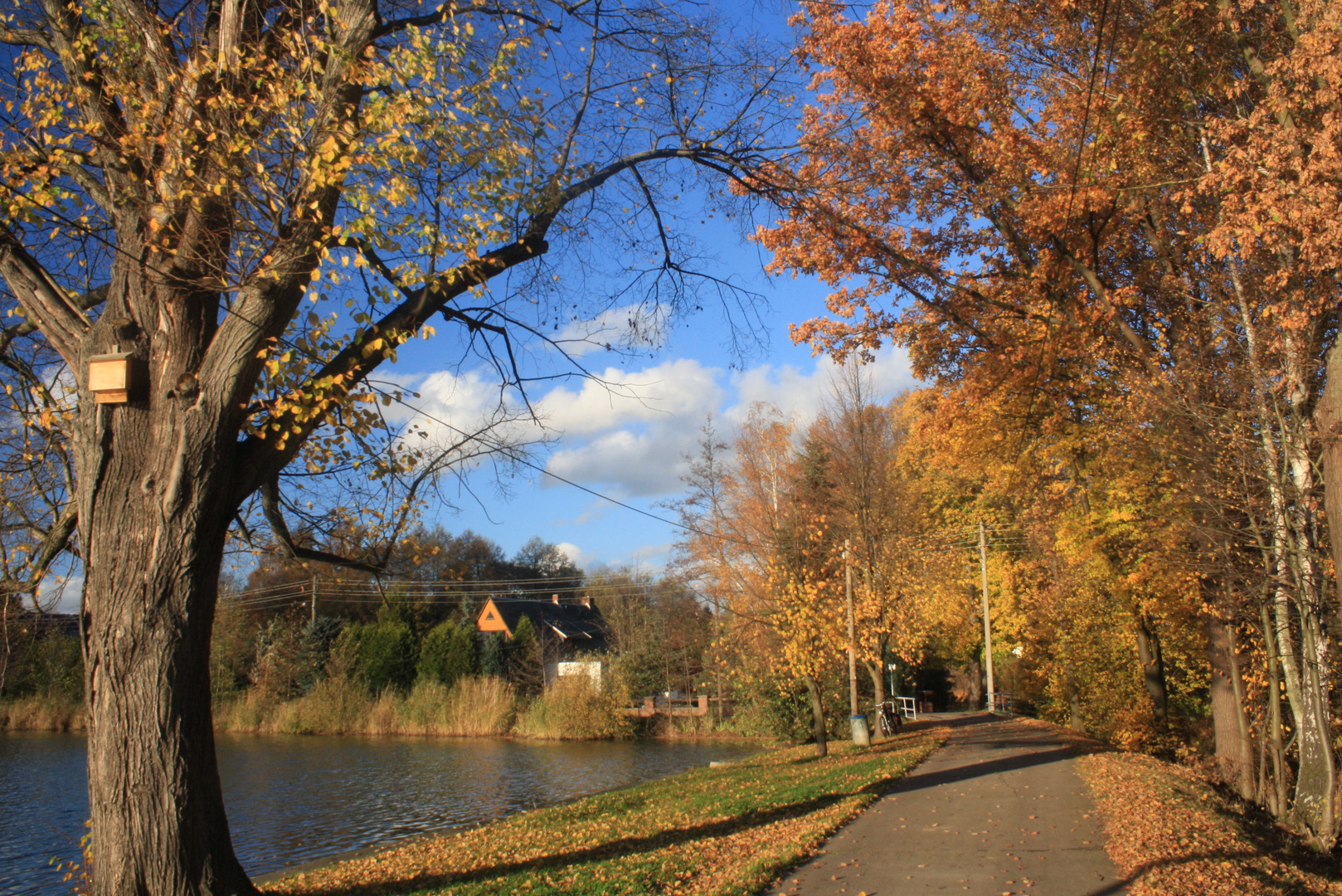 Herbst am Grützteich