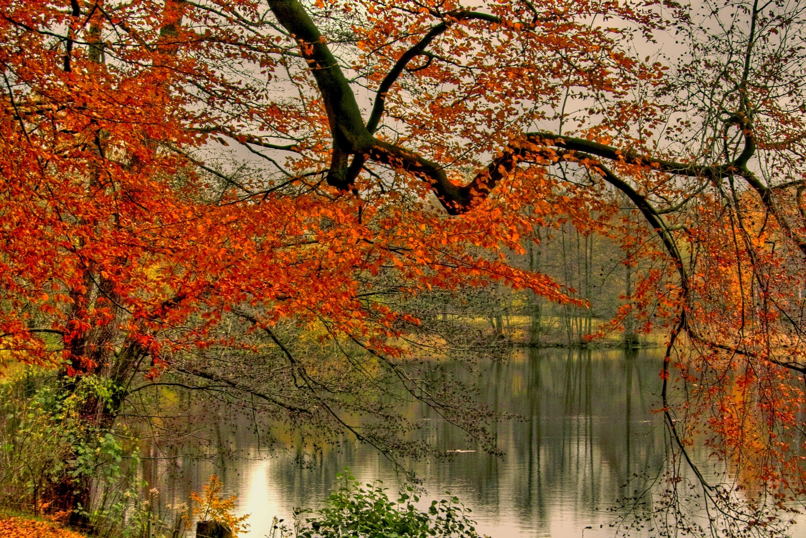 Herbst am Grunewaldsee in Berlin