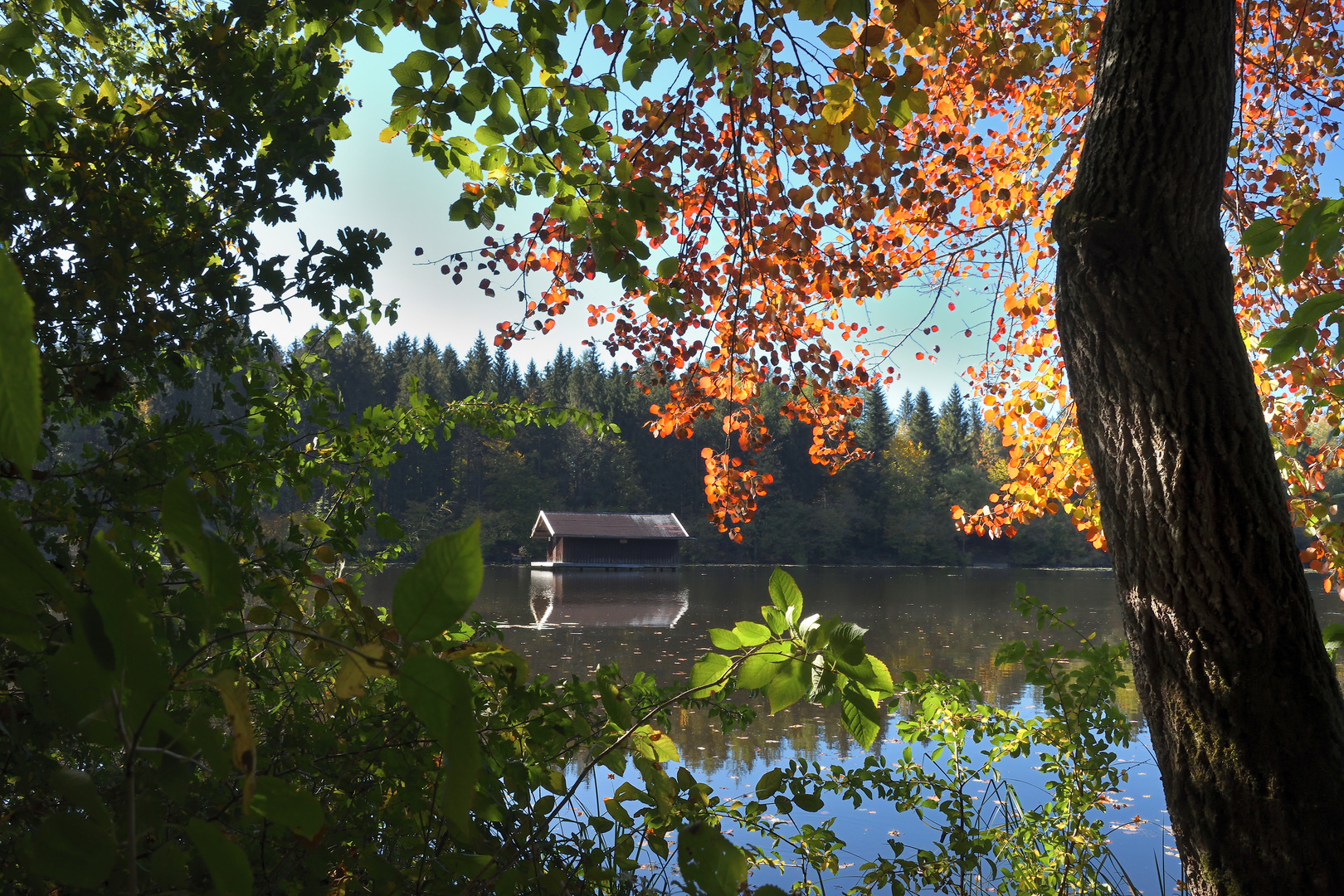 Herbst am Hackensee