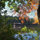 Herbst am Hackensee