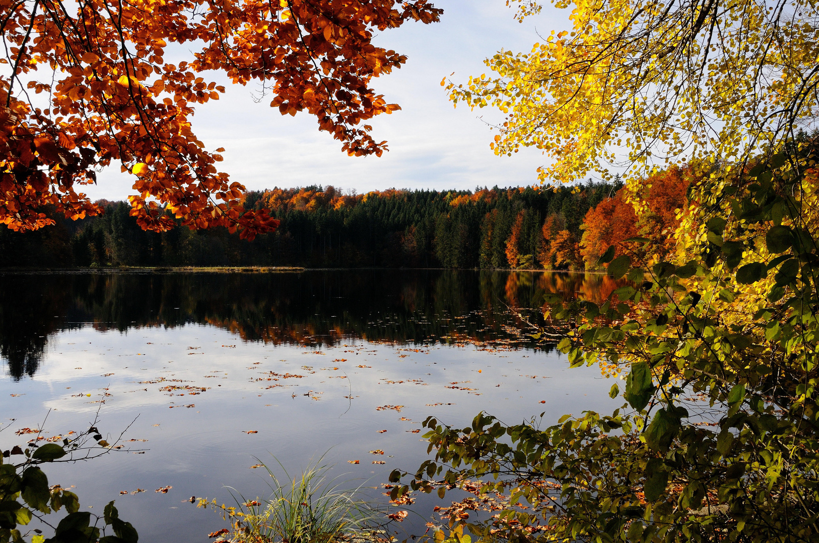 Herbst am Hackensee