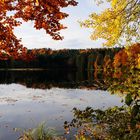 Herbst am Hackensee