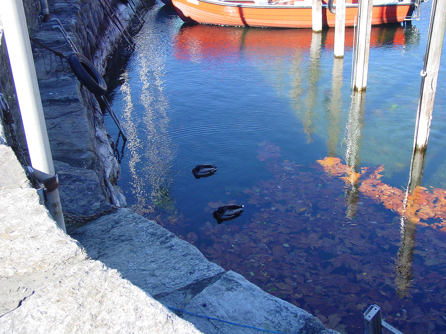 Herbst am Hafen