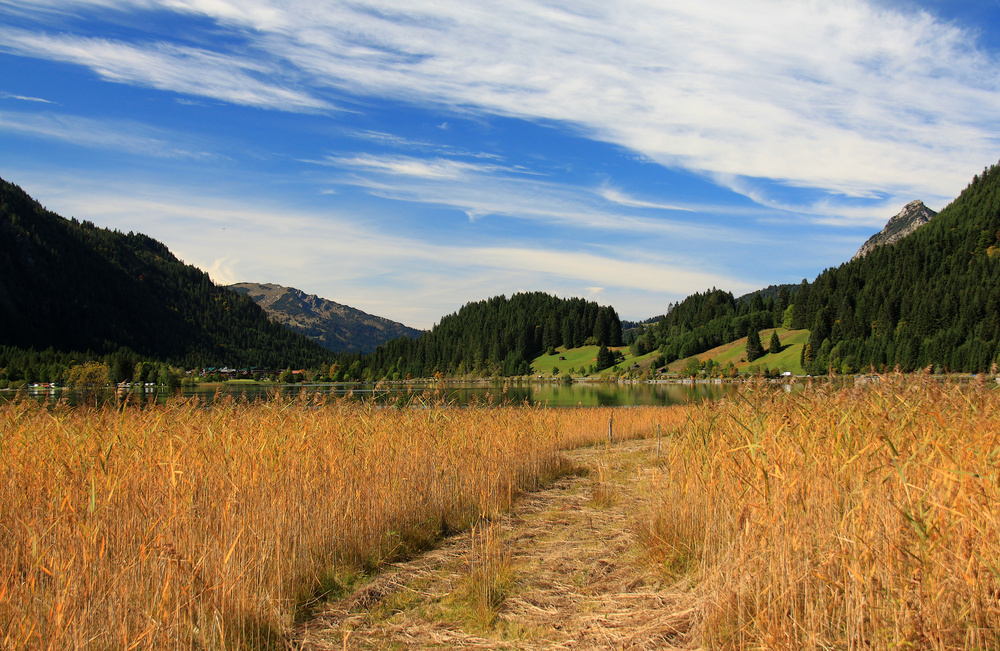 Herbst am Haldensee