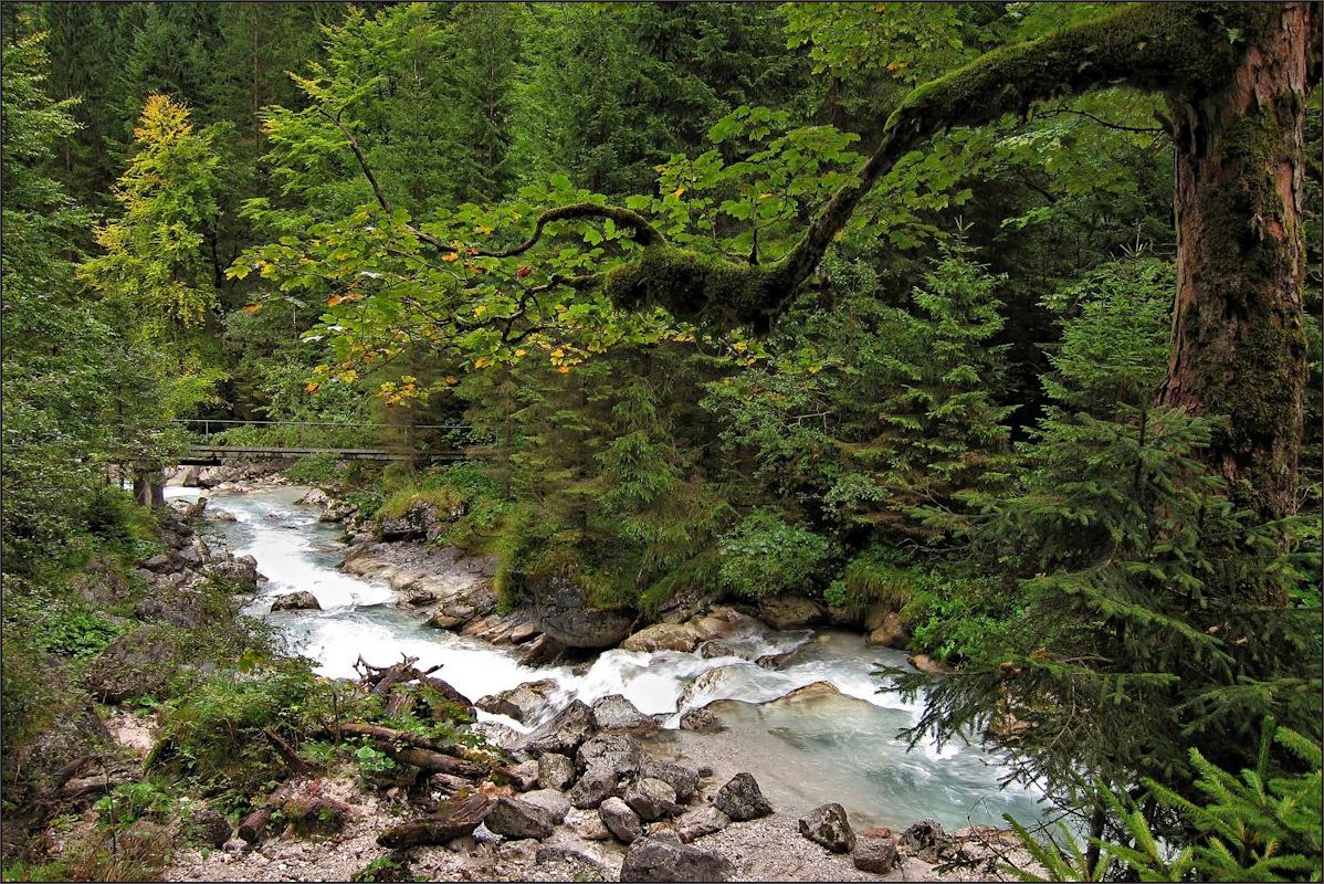 Herbst am Hammersbach