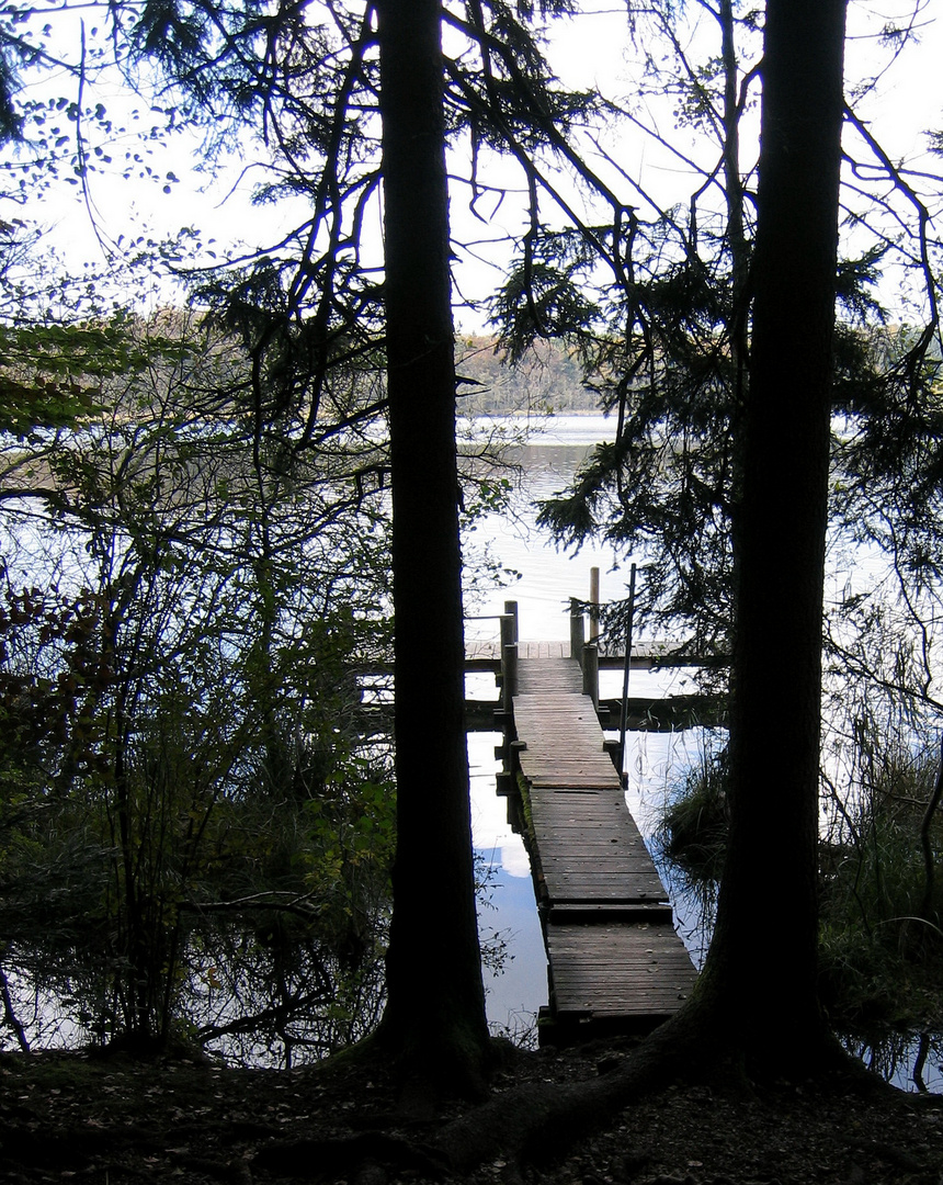 Herbst am Hartsee