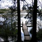 Herbst am Hartsee