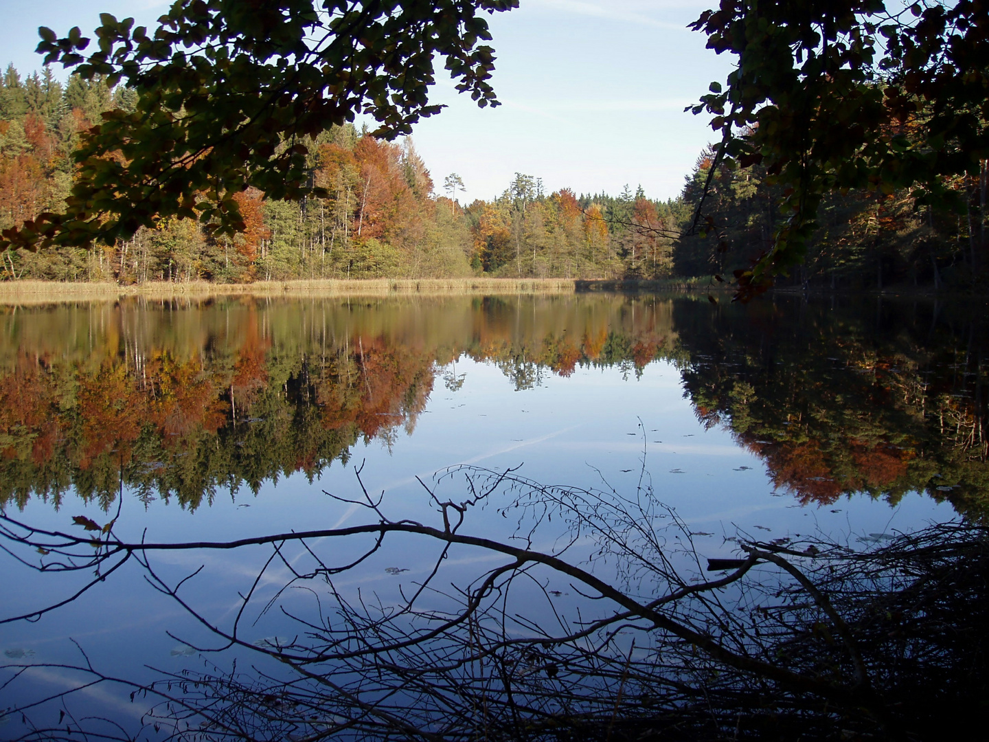 Herbst am Hartsee