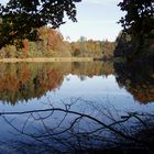 Herbst am Hartsee