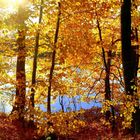 Herbst am Hartweiher
