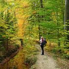 Herbst am Hasselbach Hanggraben