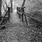 Herbst am Hasselbachtal