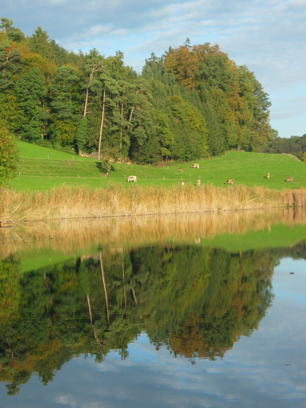 Herbst am Hauptwiler Weiher