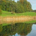 Herbst am Hauptwiler Weiher