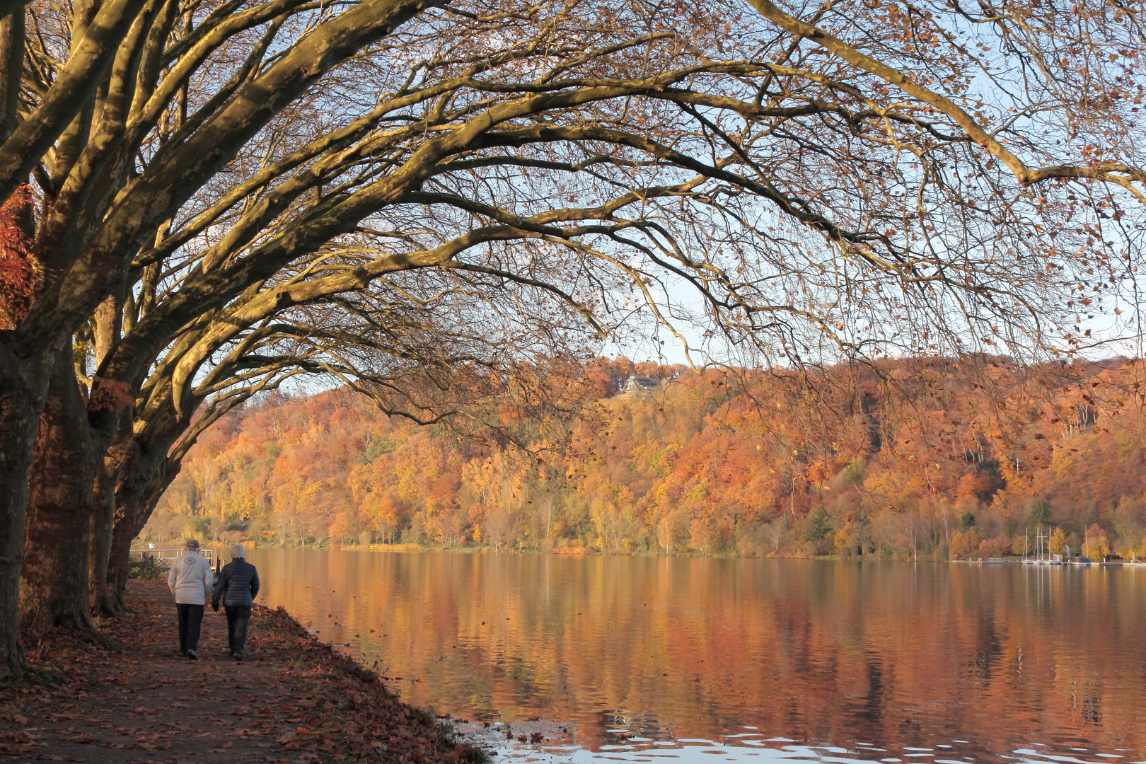 Herbst am Haus Scheppen am Baldeneysee