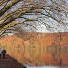 Herbst am Haus Scheppen am Baldeneysee