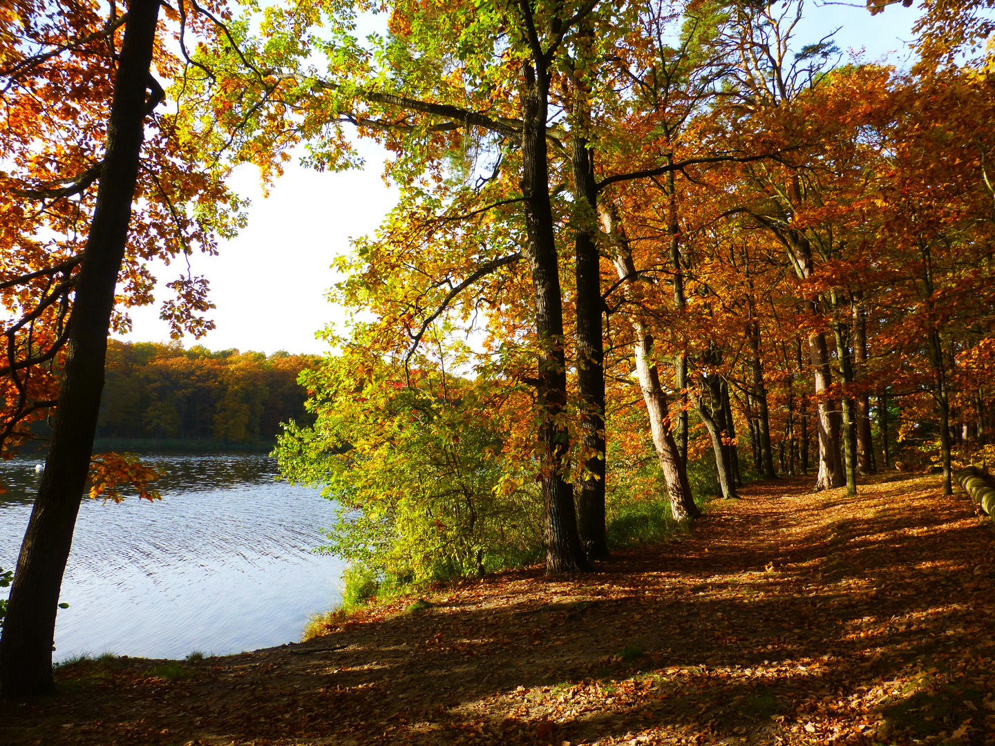 Herbst am Haussee