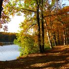 Herbst am Haussee