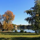 Herbst am Heiligen See