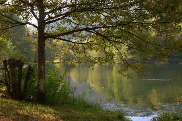 Herbst am Helmbachweiher