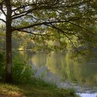 Herbst am Helmbachweiher