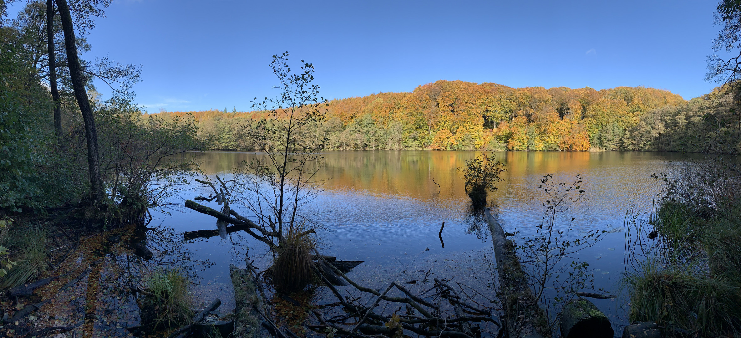 Herbst am Herthasee/Nationalpark Jasmund Rügen