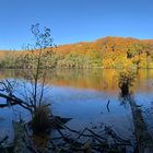 Herbst am Herthasee/Nationalpark Jasmund Rügen