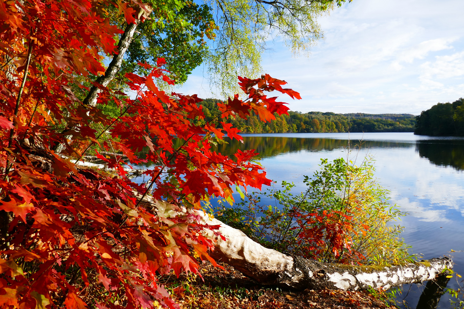 Herbst am Hevesee