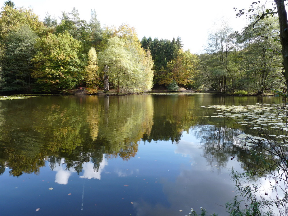 Herbst am Hexenteich