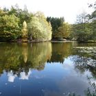 Herbst am Hexenteich