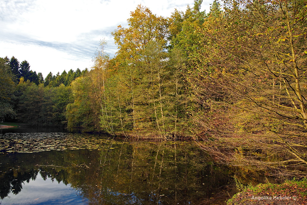 Herbst am Hexenteich