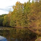 Herbst am Hexenteich