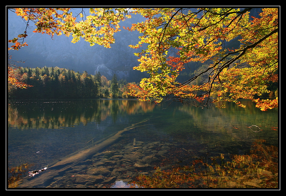 Herbst am hinteren Langbathsee 3